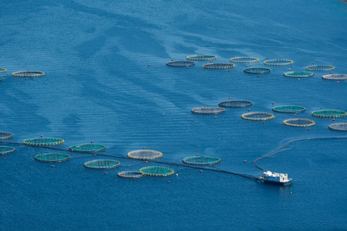 Circular fish farms floating in the blue ocean
